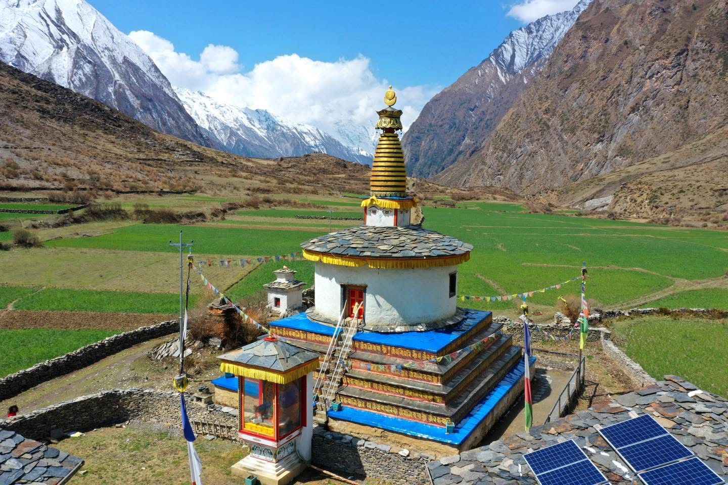 A traditional Buddhist stupa surrounded by green fields in Tsum Valley, Nepal, with snow-capped mountains in the background under a bright blue sky.
