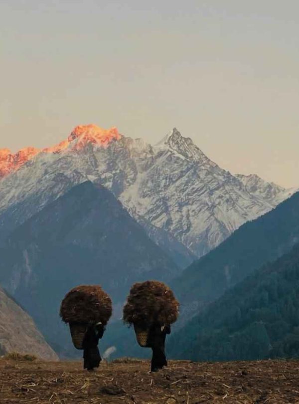 Local women carrying baskets in Tsum Valley with glowing Himalayan peaks at sunset.