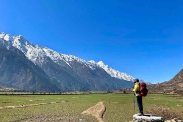 Trekker standing on a stone wall in Tsum Valley with vast green fields and snow-covered mountains.