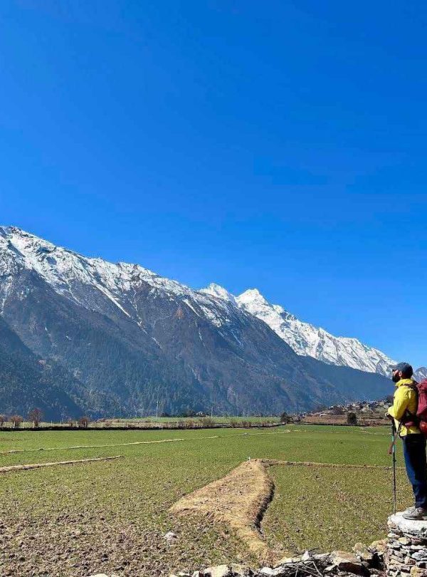 Trekker standing on a stone wall in Tsum Valley with vast green fields and snow-covered mountains.