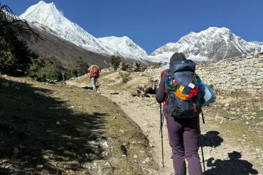Trekker walking toward snowy Himalayan peaks on the Manaslu Circuit trail near Samagaun under clear blue sky.
