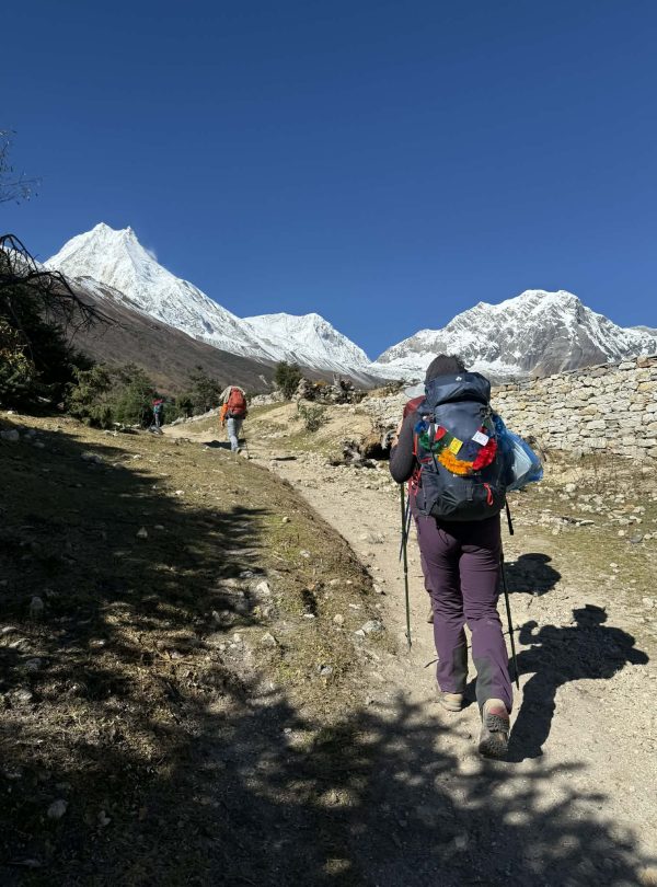 Trekker walking toward snowy Himalayan peaks on the Manaslu Circuit trail near Samagaun under clear blue sky.