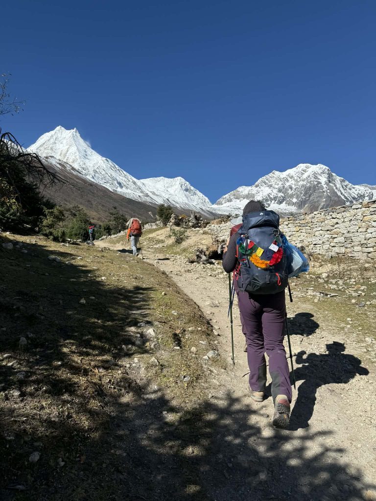 Trekker walking toward snowy Himalayan peaks on the Manaslu Circuit trail near Samagaun under clear blue sky.
