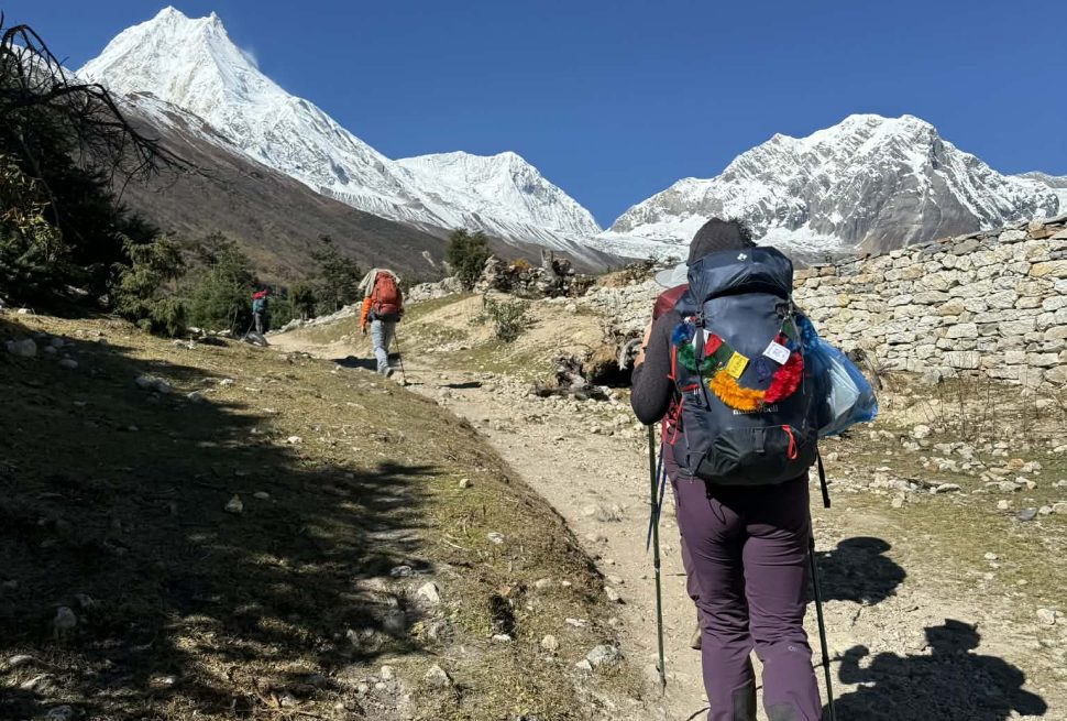 Trekker walking toward snowy Himalayan peaks on the Manaslu Circuit trail near Samagaun under clear blue sky.