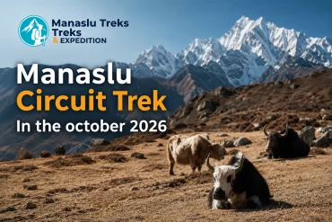 Manaslu Circuit Trek on October