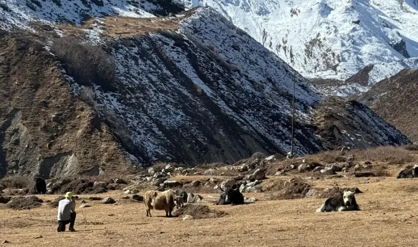 Manaslu Circuit Trek information for 2026/2027
