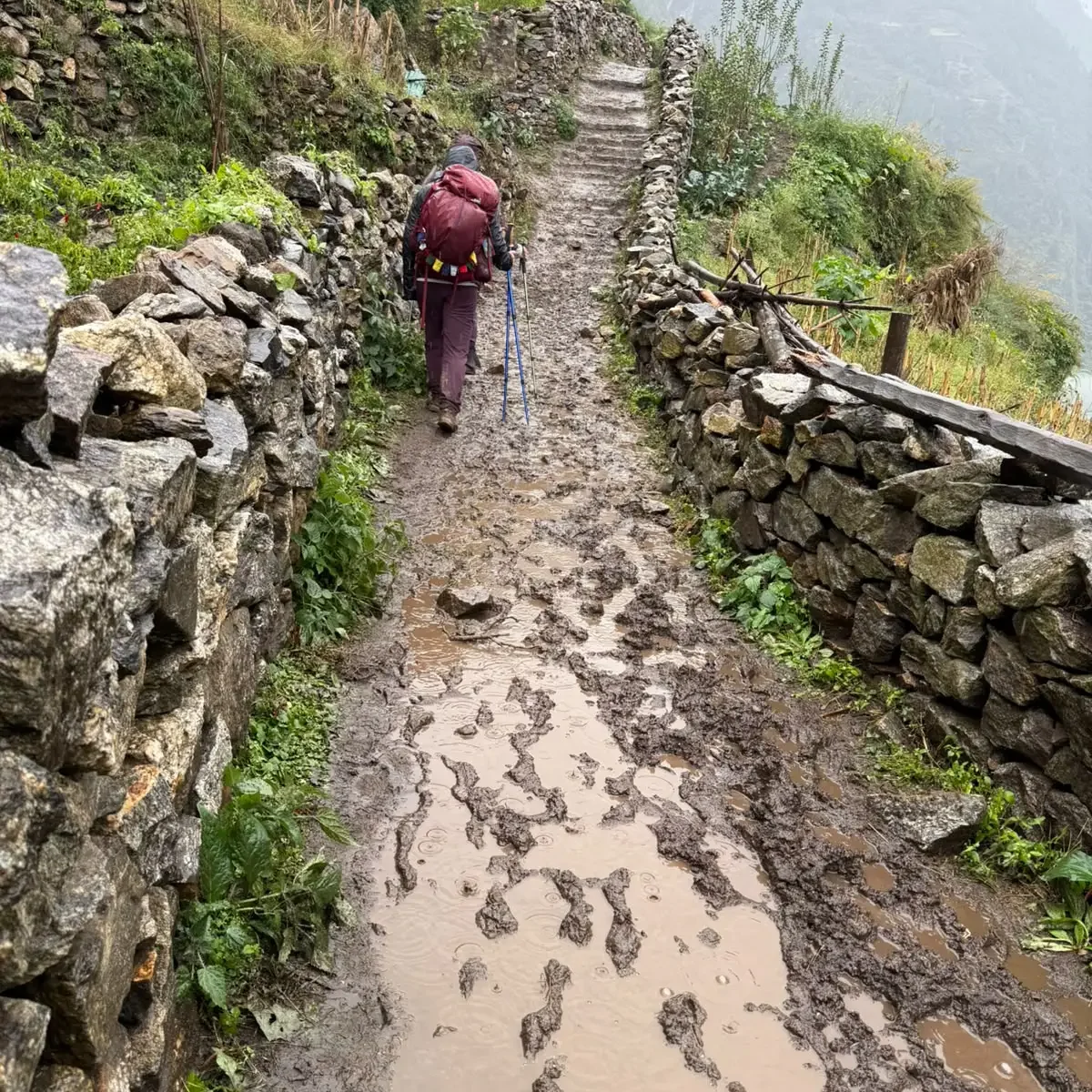 The Manaslu circuit in the monsoon )