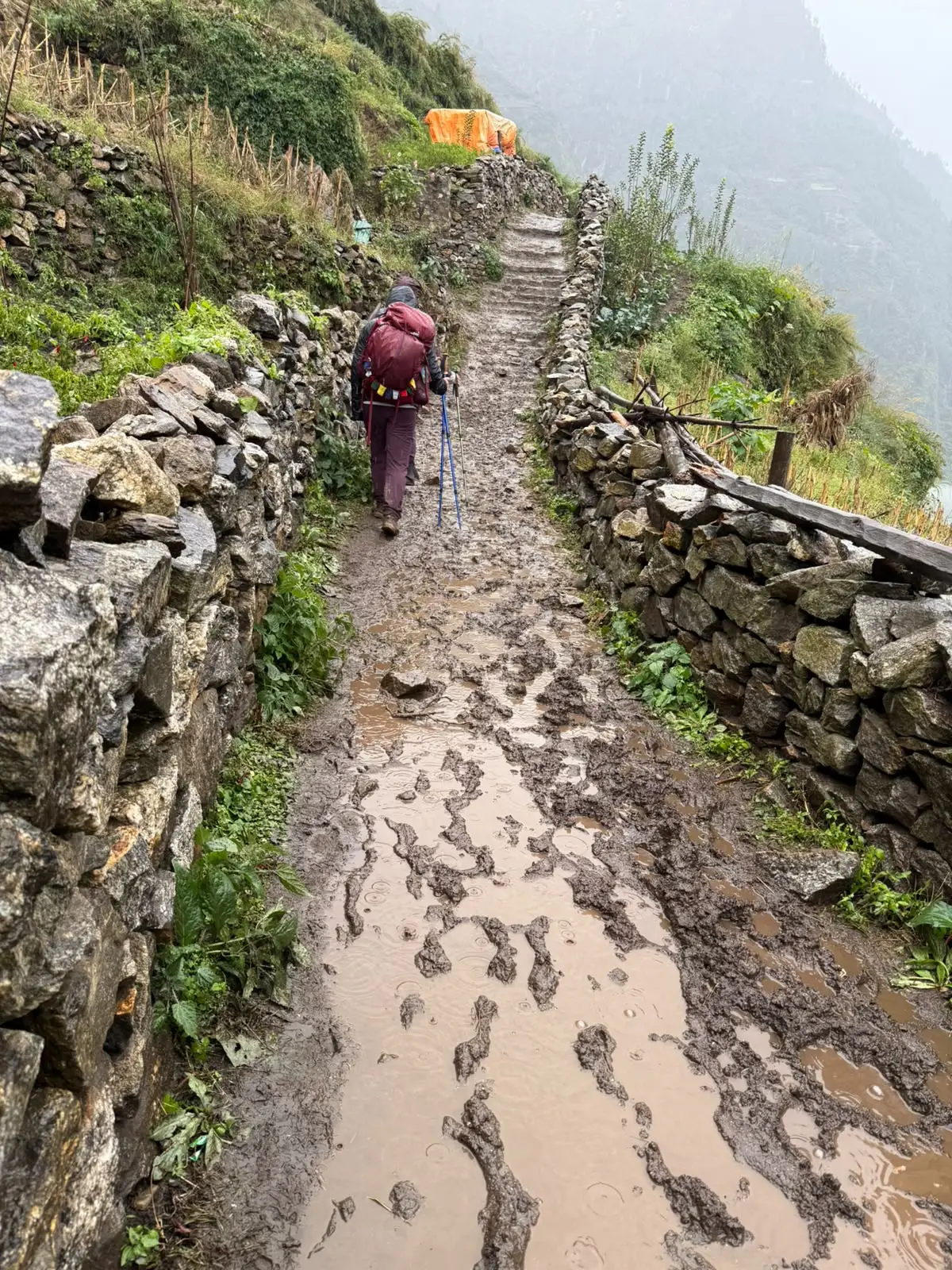 The Manaslu circuit in the monsoon )