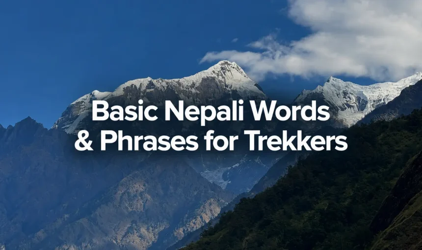 Basic Nepali Words and Phrases Every Trekker Should Know in Nepal