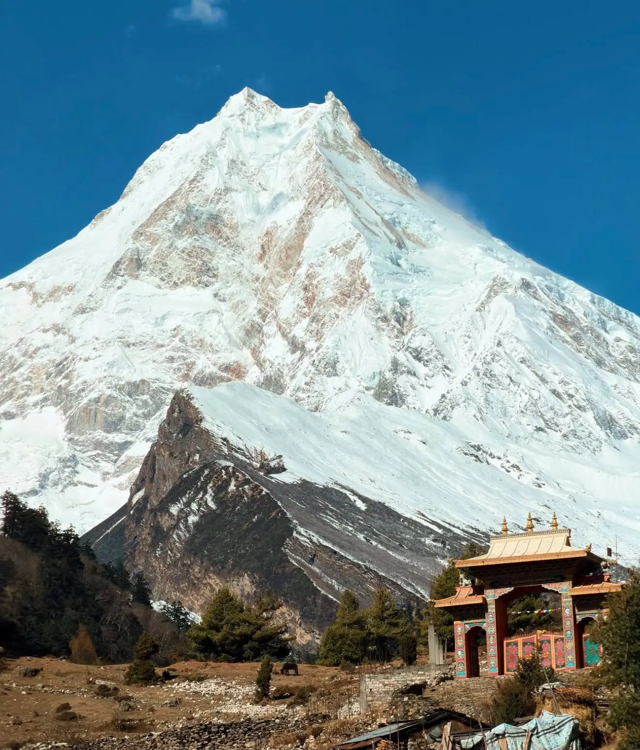 20 Reasons to Trek the Manaslu Circuit and Tsum Valley